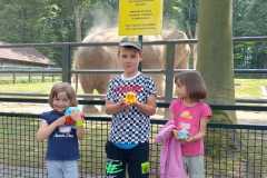 445192152_122130713660249966_2004123414698260969_n