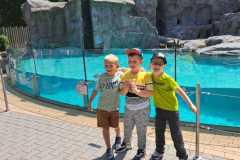 445706052_122130711272249966_439388281945010105_n