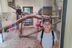 445777063_122130713594249966_4043620348810613209_n