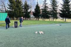 403980424_323049183973239_7487501174483578873_n