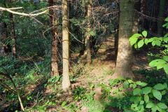 118922234_369510444211970_6773869239810243398_n