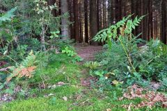 119166615_608088916538022_392479425788195707_n