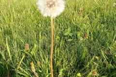 119181350_2715292382086871_2792608413849621553_n