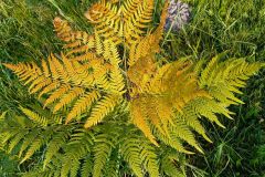 119229687_795489601199367_5977220546078710719_n