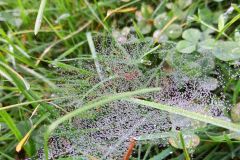 119479667_3007404576141549_8971007461377707878_n