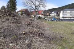 received_2368860643416722