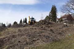 received_503955667173212