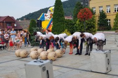 2019-08-25-17.39.35-1