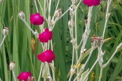 WhatsApp-Image-2019-07-15-at-19.06.03