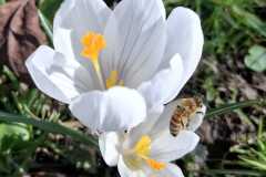 WhatsApp-Image-2026-04-06-at-17.48.10