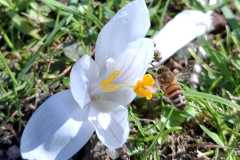 WhatsApp-Image-2026-04-06-at-17.48.11-1