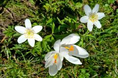 WhatsApp-Image-2026-04-06-at-17.48.11-2