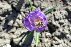 WhatsApp-Image-2026-04-06-at-17.48.11-3