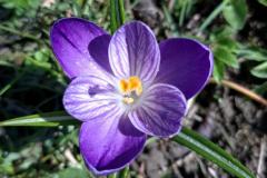 WhatsApp-Image-2026-04-06-at-17.48.11