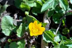 WhatsApp-Image-2026-04-06-at-17.48.12-1