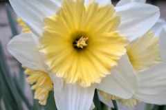 WhatsApp-Image-2026-04-06-at-17.48.12