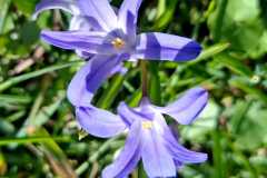 WhatsApp-Image-2026-04-06-at-17.48.13-1