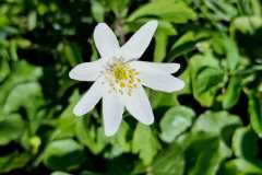 WhatsApp-Image-2026-04-06-at-17.48.13