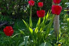 WhatsApp-Image-2026-05-02-at-10.34.52