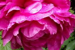 19ee529f-b816-4da5-821c-29373c538a5c