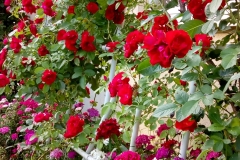 5b919993-6ee9-44c4-ae61-629b96c96671