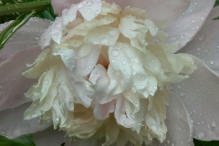 64a8d5fe-57bf-43a4-b849-b6b72a3fc6a5