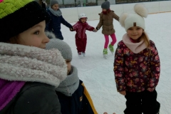 WhatsApp Image 2018-02-13 at 13W