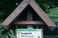 68836877_2745559398854277_68143981183107072_n