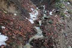 340253019_998124424864300_1644670832776675246_n