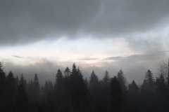 340364557_1193986084818546_6710427508371242606_n