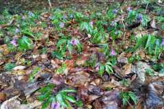 340452348_948218422880328_5753615149637023400_n