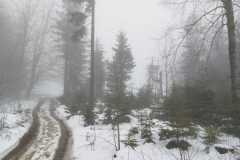 340456570_243644324719326_3933660872172618963_n