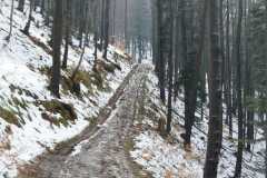 340464392_1858008157899756_6594602871192506327_n