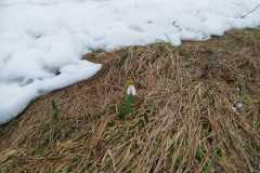 340477777_3558700367787431_866282950621048144_n