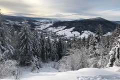 80560952_1302964466576973_1339395163394408448_n