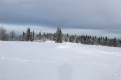 80574676_1043132089365212_2625998710500229120_n