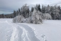 80704396_819639835164665_78005878929752064_n