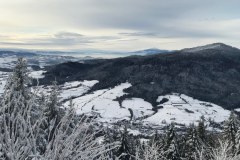 80782380_2639084766212921_6920184146358697984_n