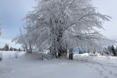 81211107_2430110873872799_5208814028805111808_n