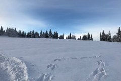 81425673_872454863171360_8323552327935983616_n