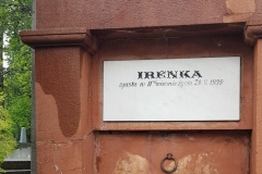 59022826_295193474729474_1610452121402998784_n