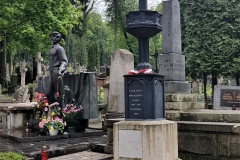 59317981_286265595657813_340490550366961664_n