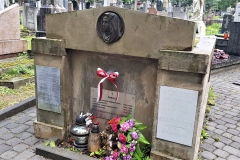 59755527_448775302537575_635702133865316352_n