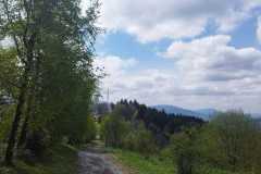 439526420_7409388275816752_379947216436604762_n