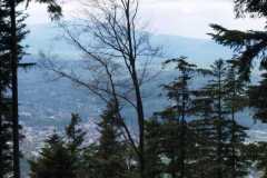 439625952_7409391825816397_1445832737472845043_n