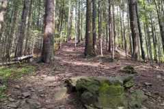 440328068_7409392169149696_5649080956093882945_n