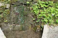 440355825_7409407492481497_5997215750650230000_n