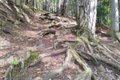 440368740_7409387749150138_68810417870214894_n