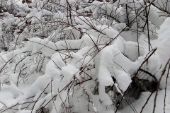 d7dc84d4-5b23-4196-9453-984fafb1d26d