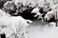 dcc384d5-148c-416c-9a2a-1931e45112bb